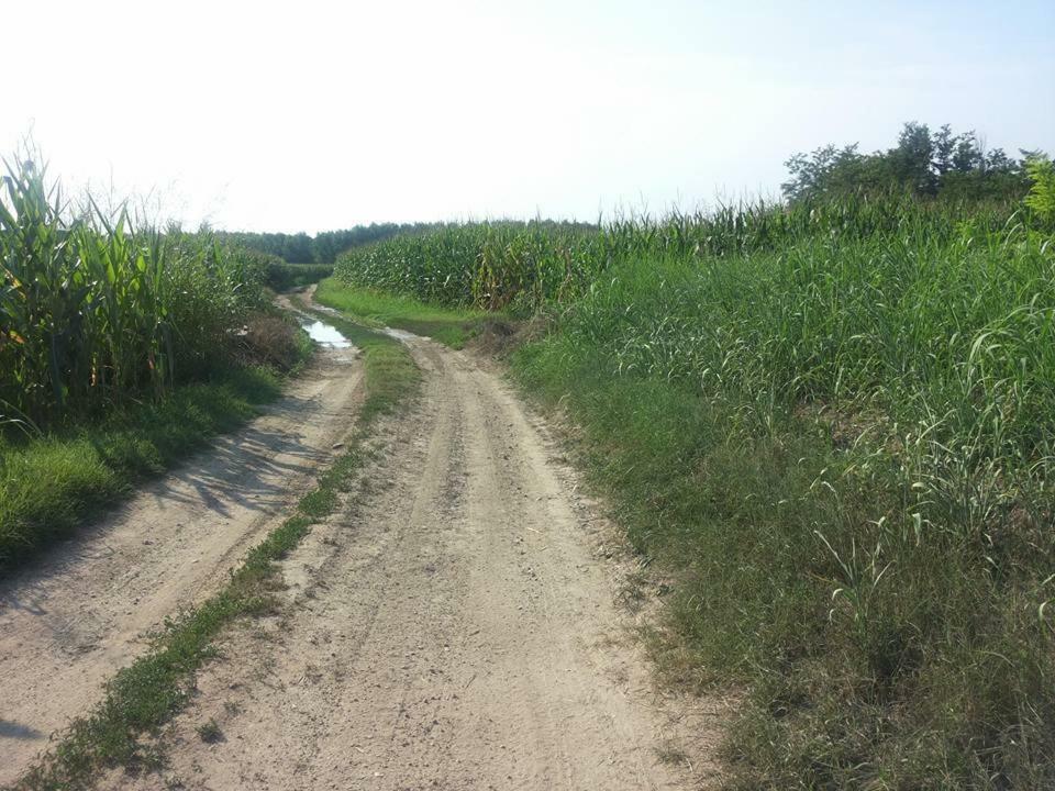 Gaietta Frassineto Po Exterior foto